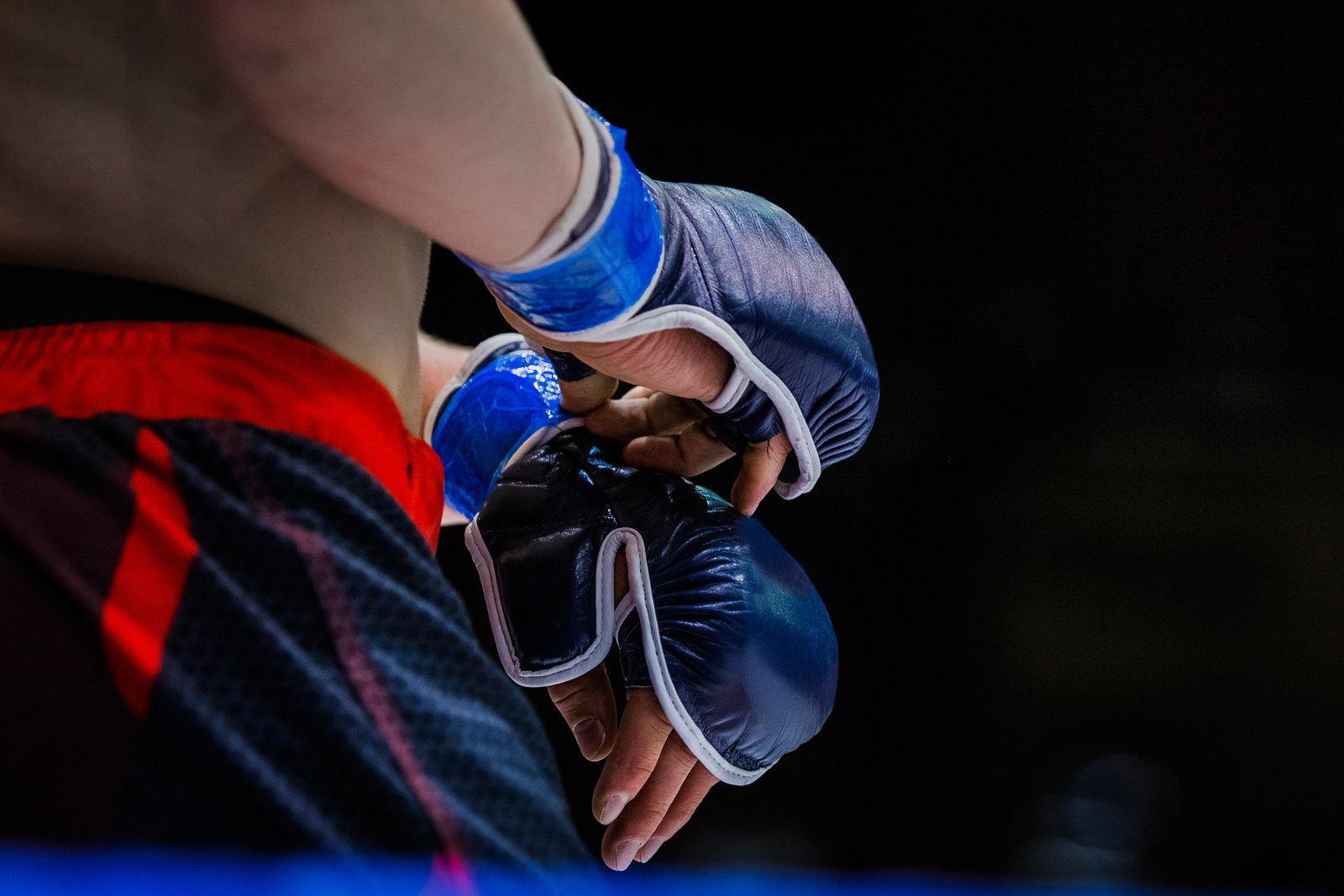 Global News From the World of Fighting